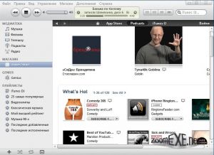 iTunes 10.6.1