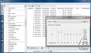 Clementine Music Player 1.0