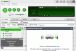 Скриншот Quintessential Media Player