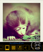 Скриншот Pola